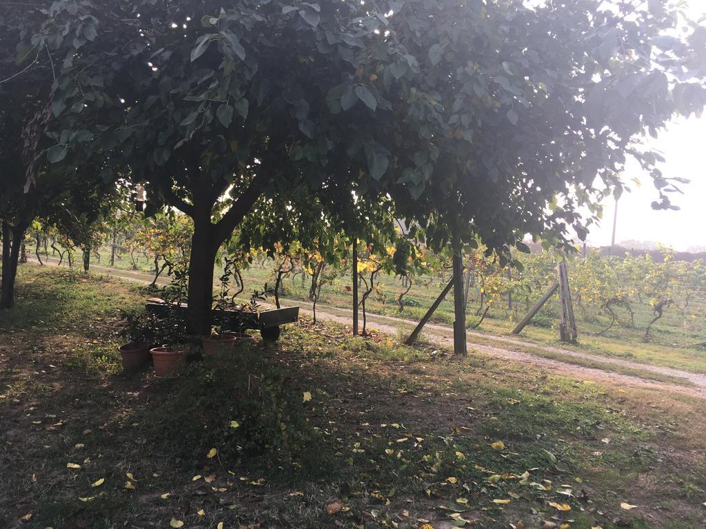 Le Magnolie Agriturismo Verolanuova エクステリア 写真