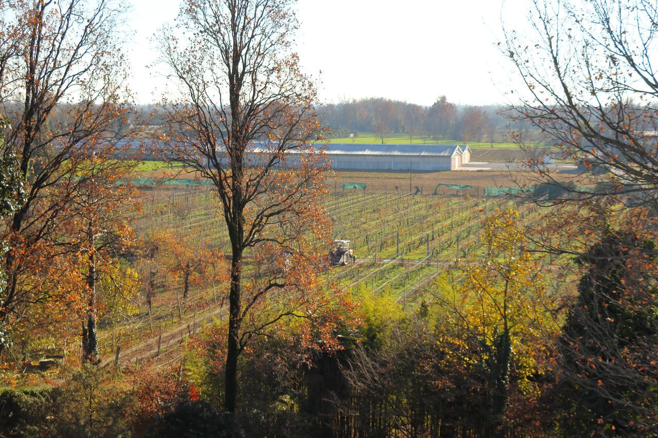 Le Magnolie Agriturismo Verolanuova エクステリア 写真